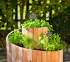 Westmann Lärchenholz Kräuterspirale Luise Natur 400x55x77 Produktbild-Vorschau 3