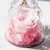 Ewige Rose im Glas mit Engel Geschenk Deko Rose Rosa Produktbild-Vorschau 7