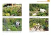 Freigehege für Europäische Landschildkröten Produktbild-Vorschau 7
