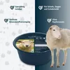 PANTO-Lick Schaf KupferFrei Mineralleckschale L92 - Produktbild-Vorschau 2