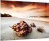 Bilder auf glas - Strand schön karibisch bunt - 100x70cm - Produktbild-Vorschau 1