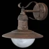 A single outdoor wall light with a bronze and gold finish against a black background. Anteprima dell’immagine prodotto