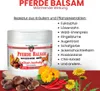 PALACIO Pferdebalsam Wärmendes Massagegel 600 ml – für Produktbild-Vorschau 3