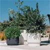 Blumentopf mit Einsatz HEOSE anthrazit 29,8 cm Produktbild-Vorschau 10