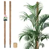 KOTARBAU® 2er Set Moosstab für Monstera ⌀ 3,2x140cm Produktbild-Vorschau 1