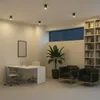 A modern office space with a desk, chairs, a plant, and a bookshelf. Náhľad obrázku produktu