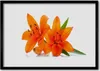 Bild 100x70 MDF-Rahmen Wandkunst Orange Pflanze Blumen Produktbild-Vorschau 1
