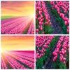 Wanduhr - Rund - Glasuhr - Wiese Tulpen Sonnenuntergang Produktbild-Vorschau 8