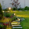 A garden path illuminated by several LED spotlights at dusk. Produktbild-Vorschau