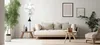 A modern living room with a white wall, a light-colored sofa, and a large potted plant. Podgląd zdjęcia produktu