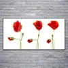 Acrylglasbilder 120x60 Wandbild Druck Mohnblumen Pflanzen Produktbild-Vorschau 2