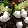 LED Solar Mini Pilze - 10 Gartenstecker mit Erdspießen - 8 Produktbild-Vorschau 7