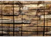 Selbstklebende Folie Fototapete - Shadow of Trees 245x175 Produktbild-Vorschau 5