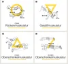 Four panels showing different exercises using a foam roller for muscle massage. Produktbild-Vorschau