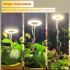 LED lampa pro rostliny s plným spektrem Nastavitelná výška Náhled obrázku produktu 4