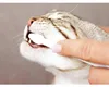 Trixie Zahnpflege-Set für Katzen Produktbild-Vorschau 6
