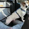 Autostoel voor hond DOGESTE – transportbox en hondenmand Productafbeelding-voorbeeld 10