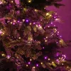 LED Lichterkette Compact Twinkle - 750 pink-/bernstein LED - L: 16m - 8 Funktionen - Timer - Trafo Produktbild-Vorschau