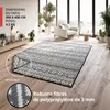 Tapis d'extérieur EVOCAMP 300 x 400 cm, tapis en plastique, Voir les images du produit 4