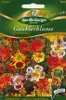 Gauklerblumen, Tiger Mischung Produktbild-Vorschau 4