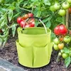 WENKO Gartenkorb Reinigungscaddy Behälter Grün Putzen Produktbild-Vorschau 3