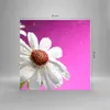 Bilder auf glas - Blume frühling garten - 30x30cm - Produktbild-Vorschau 3
