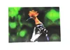 A bird with an orange crest and black and white striped wings perched on a branch against a blurred green and black background. Produktbild-Vorschau