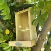 Esschert Design Distributeur de graines pour oiseaux, à Voir les images du produit 3