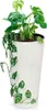 Prosperplast Blumentopf TUBUS SLIM Kaffee 25 cm Produktbild-Vorschau 15