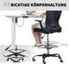 Fortuna Lai Chaise de bureau réglable en hauteur Chaise de Voir les images du produit 6
