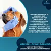 Haustier-Augentropfen 2x10 ml mit Lanosterol + NAC Productafbeelding-voorbeeld