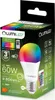 LUMILED sada 3 LED žárovek A60 E27, 9W (nahrazuje 60W), 806 Náhled obrázku produktu 3