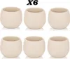 6 vasi rotondi per cactus color crema 10 cm con drenaggio, Anteprima dell’immagine prodotto 12