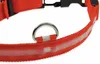 ChiliTec Hunde Halsband mit LED Beleuchtung Produktbild-Vorschau 6