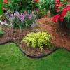A garden bed with various plants and black edging. Voir les images du produit