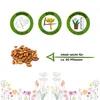 Buschbohnen Saxa Samen - Phaseolus vulgaris  - Bohnensamen Produktbild-Vorschau 2