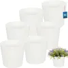 KOTARBAU® Lot de 6 pots de fleurs Pot de fleurs ⌀ 20 cm H : Voir les images du produit 1