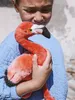 Plüschtier Flamingo (23cm) lebensecht Kuscheltier Stofftier Produktbild-Vorschau 7