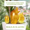 Scheurich Wasserspender Bördy M | 4 x Orange | 220ml Produktbild-Vorschau 6