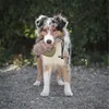 Farm-Land Hunde Dummy Ente mit Kunstfell 300g Produktbild-Vorschau 6