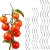 Tomatenspiralen aus Stahl Ø 5,6 mm Tomatenspiralstäbe Ranke Produktbild-Vorschau 1