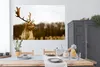 MuchoWow® Poster Damhirsch - Wald - Herde - Tiere - Natur Produktbild-Vorschau 3