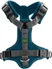 Hunter Geschirr Maldon Up 53-71/M petrol/grau Produktbild-Vorschau 7