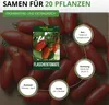 Flaschentomaten San Marzano 2 Samen - Solanum lycopersicum Produktbild-Vorschau 4