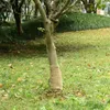 vidaXL Jutegewebe 0,25x5 m 100% Jute 200 g/m² Produktbild-Vorschau 2