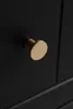 A close-up shot of a gold cabinet knob on a black cabinet. Náhled obrázku produktu