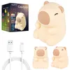 A collage of a capybara-shaped night light, its packaging, and charging cables. Náhľad obrázku produktu