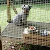1m x 10m Silber Volierendraht Maschendrahtzaun Maschendraht Produktbild-Vorschau 8