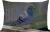 MuchoWow® Outdoor Kissen - Taube - Vogel - Lila - Federn - Produktbild-Vorschau 1