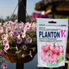 PLANTON K Mehrkomponentendünger für Geranien und Produktbild-Vorschau 22